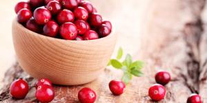 Propiedades del arándano rojo para la piel