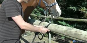 Cómo atar el caballo a un poste