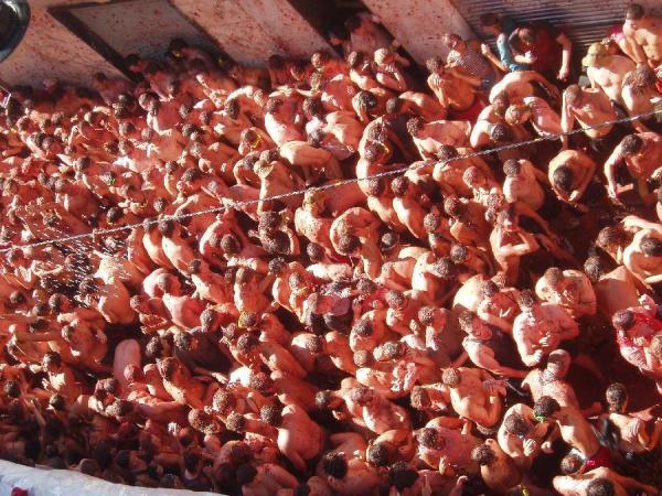 Cuál es la historia de la Tomatina de Buñol