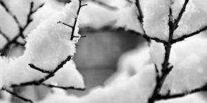 Cómo se dice nieva o neva