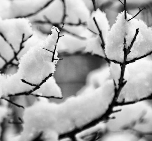 Cómo se dice nieva o neva