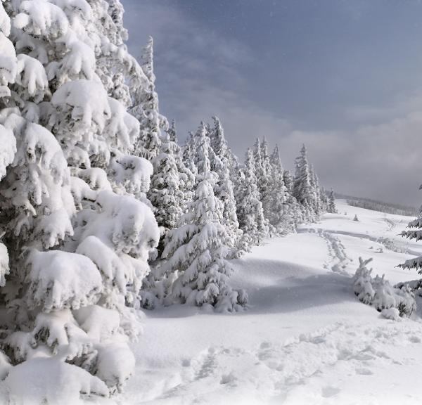 Cómo se dice nieva o neva - Nieva