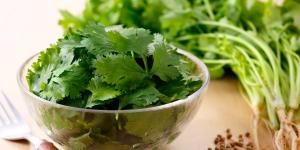 ¿Por qué a algunas personas el cilantro les sabe a jabón? Conoce el gen OR6A2