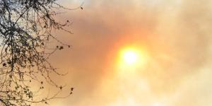 Cómo ayudar a personas después de desastres naturales