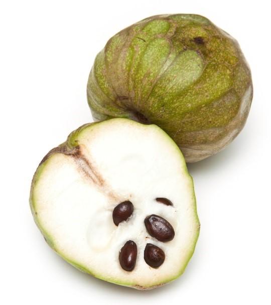 Cuáles son las propiedades de la guanábana