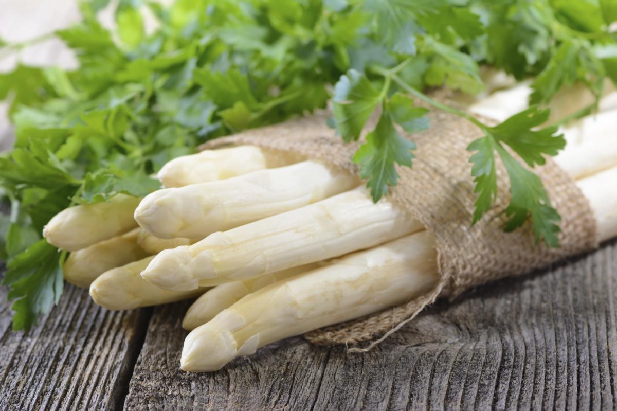 Cómo cultivar espárragos