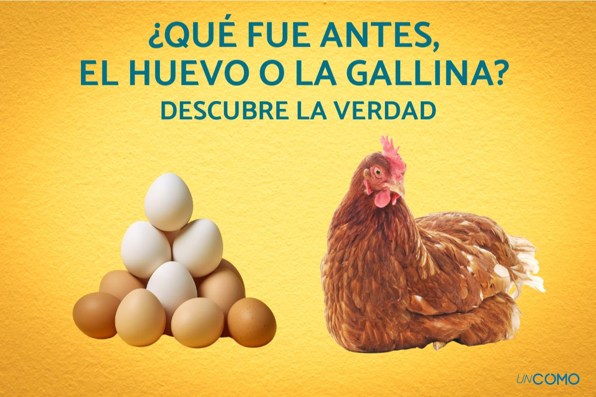 ¿Qué fue antes, el huevo o la gallina? Descubre la verdad