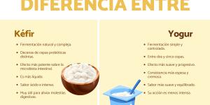 Diferencia entre kéfir y yogur: ¿qué es mejor?