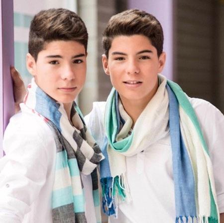 Cómo contactar con Gemeliers