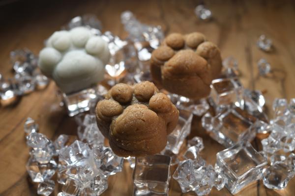 Cómo refrescar a un gato - Helados para gatos