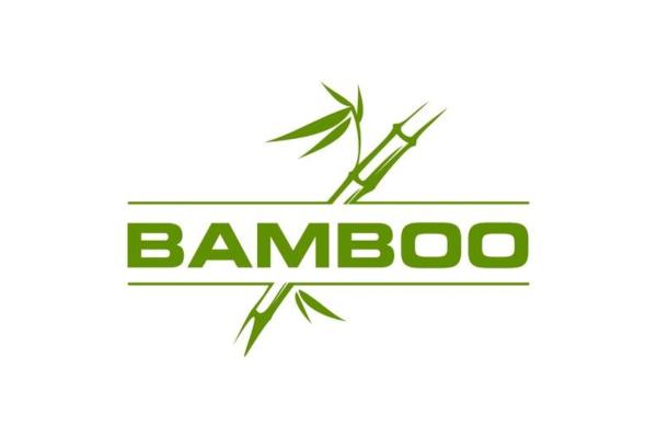 Las mejores aplicaciones para dibujar en tablets y móviles Android - Bamboo