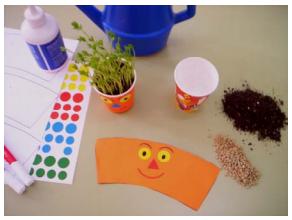 Cómo hacer una maceta de lentejas original