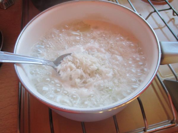 el arroz es bueno para la dieta de los perros