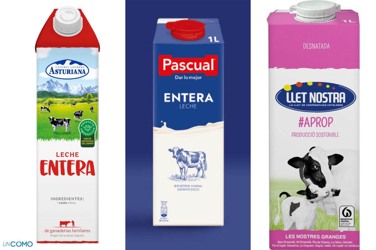 Marcas de leche españolas: estas son las más consumidas