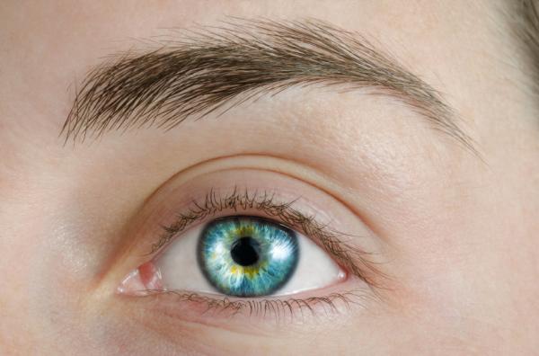 Por qué no me crecen las cejas - Tratamientos para la pérdida de pelo en las cejas