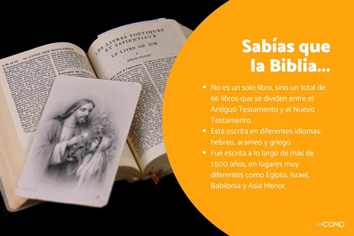 Curiosidades de la Biblia que debes conocer