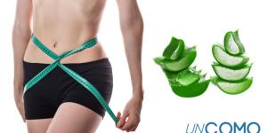 Propiedades del aloe vera para adelgazar