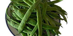 Cuáles son los beneficios de las judías verdes