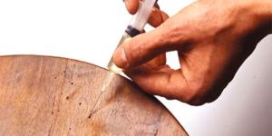 Cómo tratar la carcoma