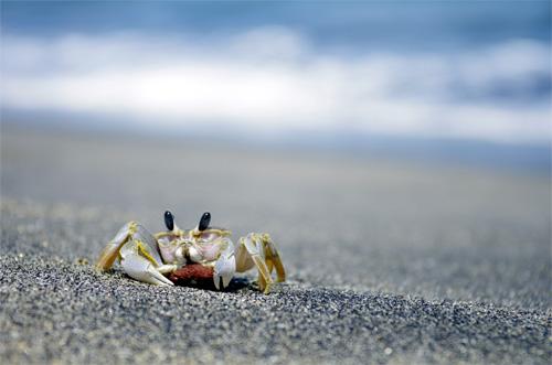 Cómo hacer fotografías profesionales en la playa - Sé creativo con las perspectivas