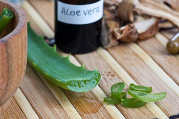 Cómo curar las llagas en el paladar - Aloe vera para las aftas