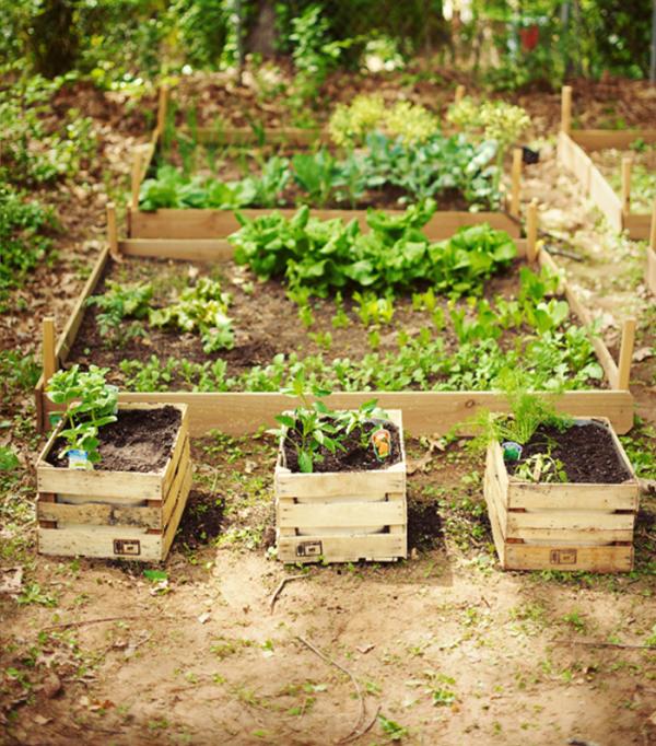Cómo decorar mi jardín con cosas recicladas - Palets para decorar macetas