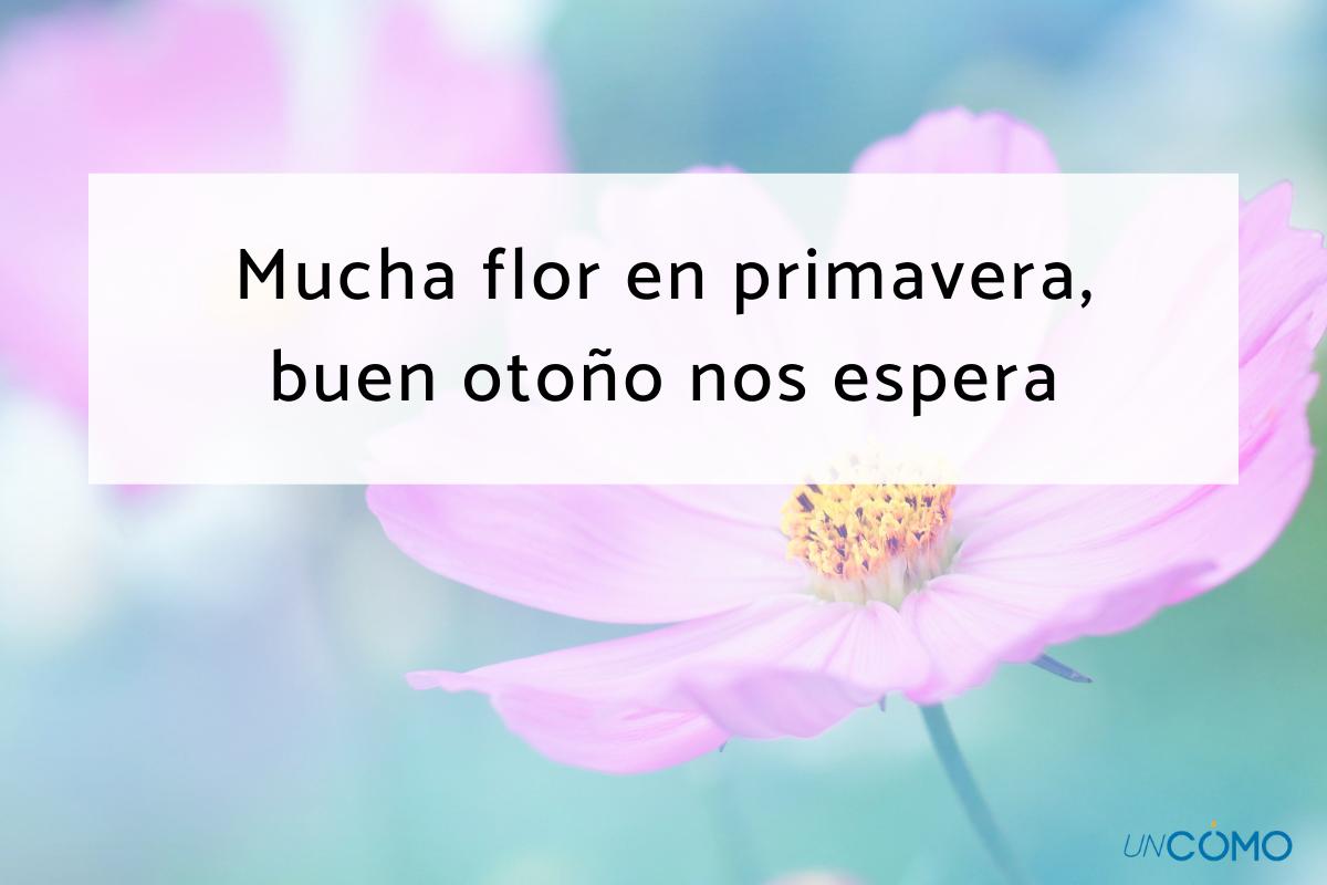 Refranes de primavera