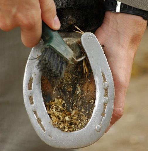 Cómo limpiar los cascos de un caballo