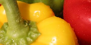 Cuáles son las propiedades del pimiento