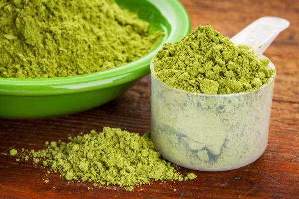 Cuáles son las contraindicaciones de la moringa