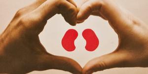 Cómo cuidar los riñones