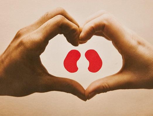 Cómo cuidar los riñones