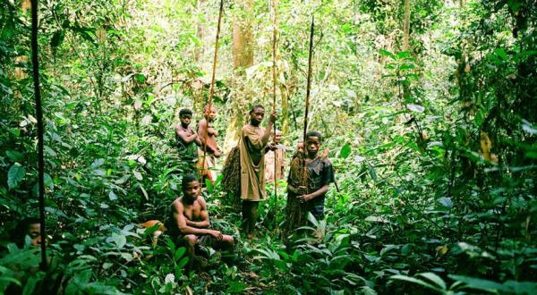 La Selva del Congo - localización y características - La Selva del Congo en estado de conservación