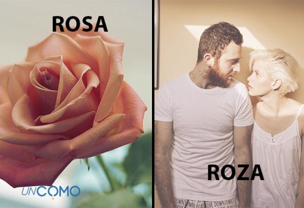 Cómo se escribe rosa o roza - Diferencia entre rosa y roza