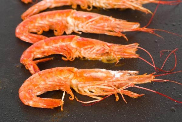 Cómo hacer gambas a la plancha