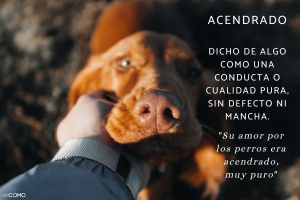 Palabras raras con significados bonitos en español - Acendrado