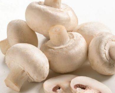 Cómo cultivar champiñones