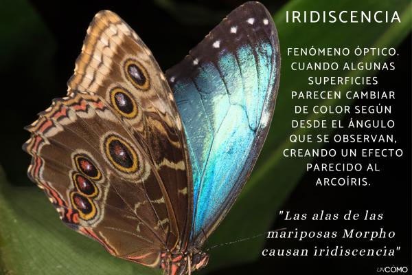 Palabras raras con significados bonitos en español - Iridiscencia