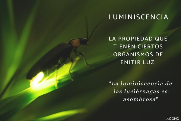 Palabras raras con significados bonitos en español - Luminiscencia