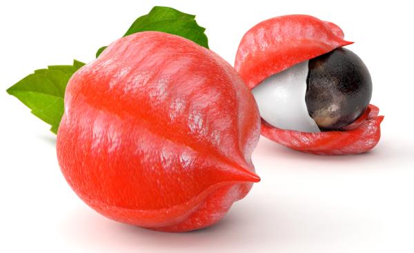 Propiedades del guaraná para adelgazar - Cómo tomar guaraná para adelgazar