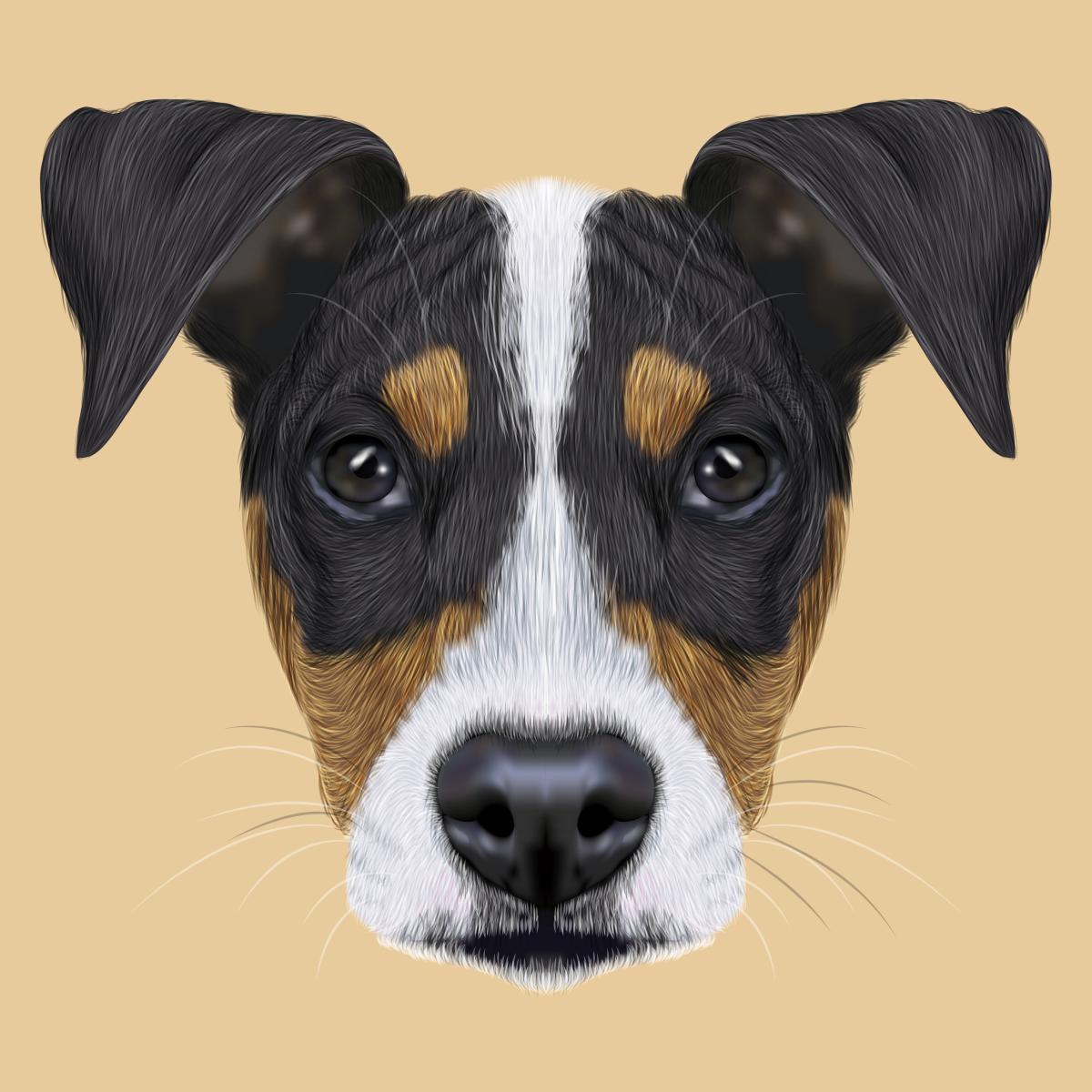 Cómo es el bodeguero andaluz