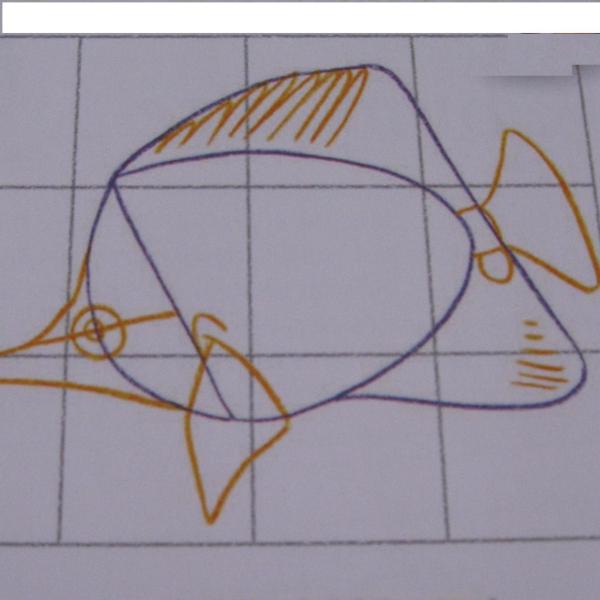 Cómo dibujar un pez - Paso 3
