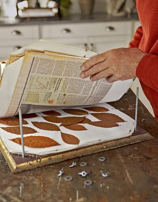 Cómo hacer flores prensadas con un libro - Paso 2