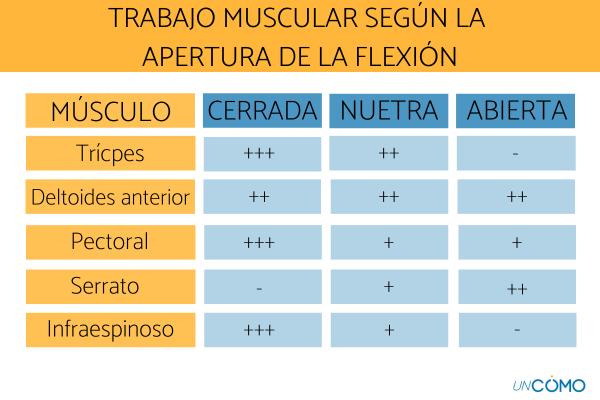 Qué músculos trabajan las flexiones - Qué músculos trabajan las flexiones de brazos