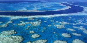Cuál es el arrecife de coral más grande del mundo