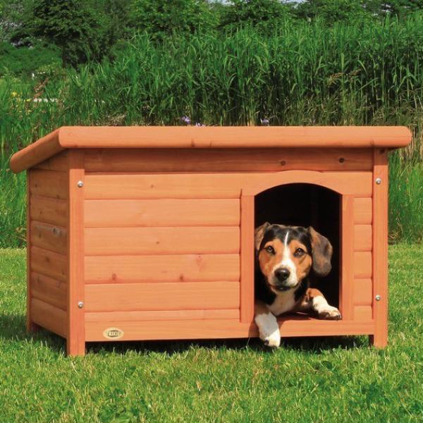 la casa de perro mas cool del mundo