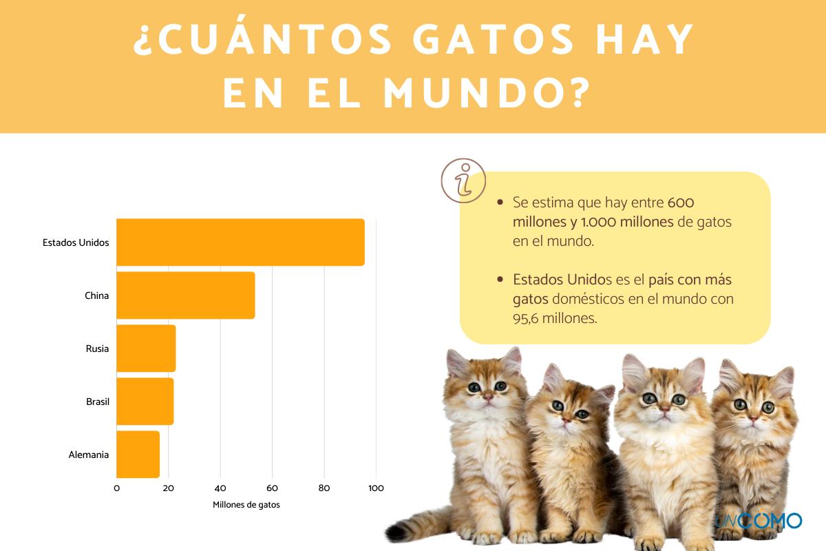¿Cuántos gatos hay en el mundo? ¿Qué país tiene más?