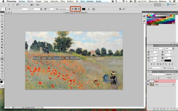 Cómo poner texto a una imagen en Photoshop - Paso 8