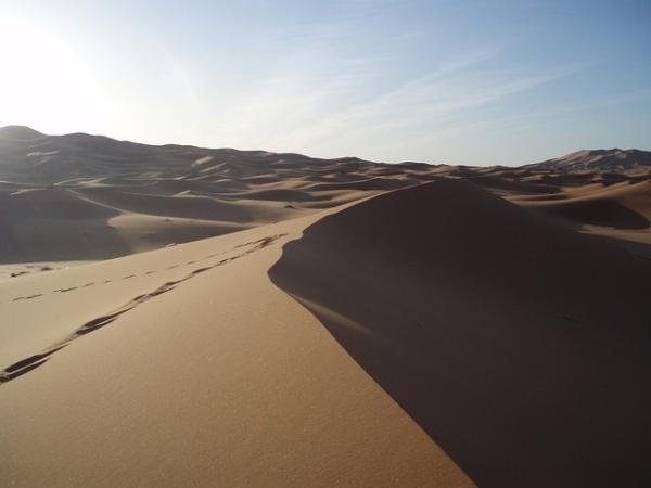 Cuál es el desierto más grande del mundo - Paso 4
