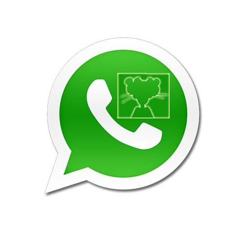 Cómo cambiar mi imagen de perfil de WhatsApp en iPhone